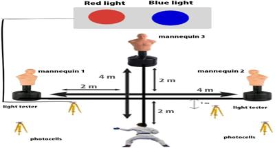 Reliability, Validity, and Sensitivity of a Specific Agility Test and Its Relationship With Physical Fitness in Karate Athletes